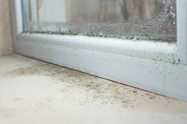 Best Residential Mold Inspection & Testing  in Waldorf, MD